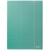 Dėklas dokumentams su gumele Esselte Colour'Breeze, A4, kartoninis, žalia