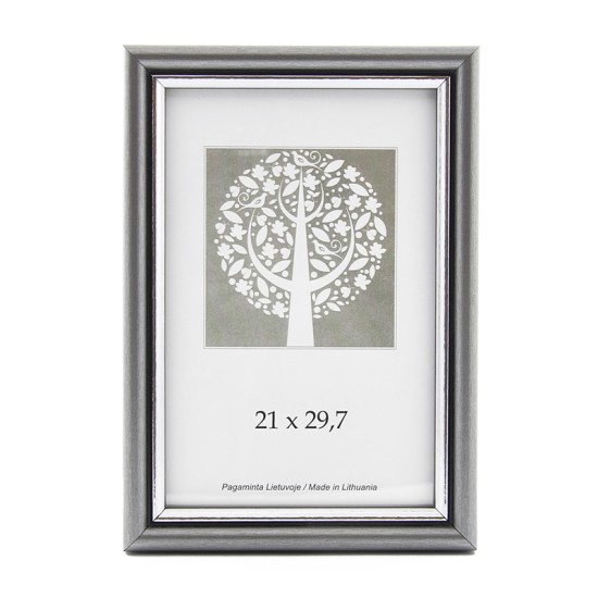 Nuotraukų rėmelis, plastikinis, A4, 21x29,7 cm, sidabro sp.