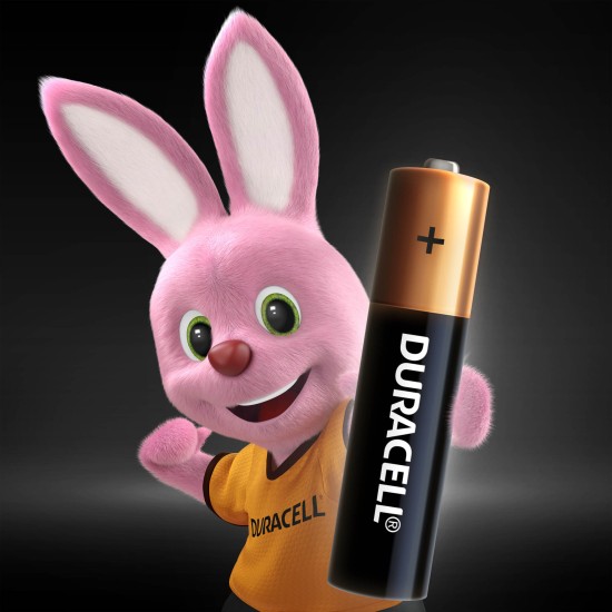 Baterijos DURACELL AAA, LR03, 12vnt