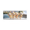 Kalendorius MEMO Dancing Queens  2027, 290 x 110 mm, kartoninis