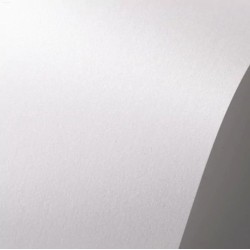 Dekoratyvinis popierius ICE SILVER, Curious Metallics, A4, 120gsm