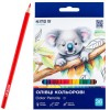 Spalvoti šešiabriauniai pieštukai CLASSIC, Kite, 36 sp.