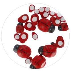 Dekoracija iš medžio CRAFT with FUN Ladybirds, lipni, 24 vnt., įvairių dydžių