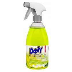 Purškiamas indų ploviklis DASTY Express Dishwashing, 700 ml