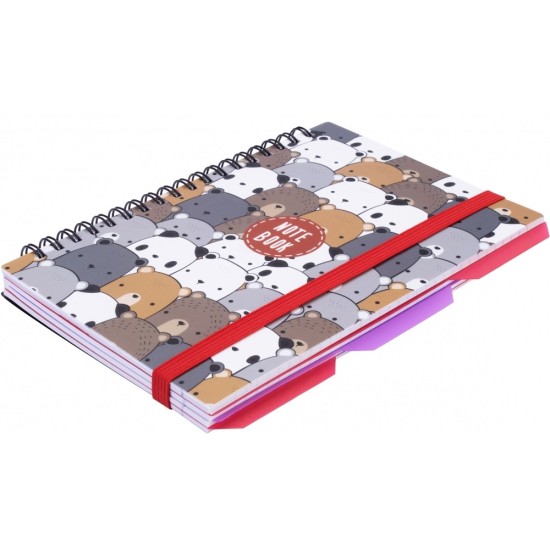 Bloknotas PANDA, Optima, B6, 100 lapų, langeliais, 65gsm, su spirale šone, plastikinis viršelis