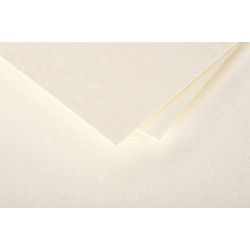 Dekoratyvinis vokas POLLEN, Clairefontaine, DL (110x220mm), 120gsm, blizgus, kreminės sp.