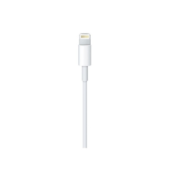 Apple MM0A3ZM/A USB-C - Lightning Kabelis 1 m, Balta