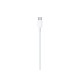 Apple MM0A3ZM/A USB-C - Lightning Kabelis 1 m, Balta