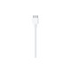 Apple lightning cable 2 m White