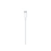 Apple lightning cable 2 m White