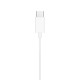 Apple EarPods Laidinės ausinės, USB-C, Balta