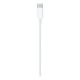 Apple USB-C Male į Lightning Male Kabelis 2m, Balta