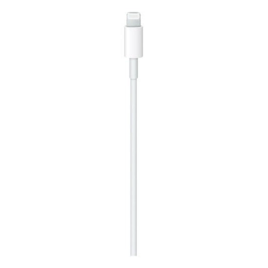 Apple USB-C Male į Lightning Male Kabelis 2m, Balta