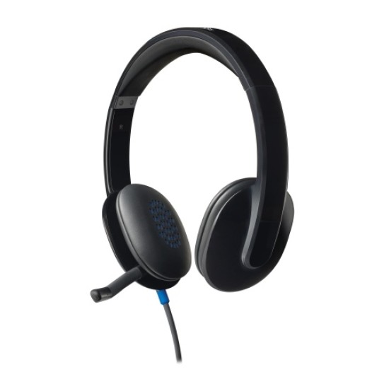 Logitech H540 Laidinės ausinės, USB-A, Juoda